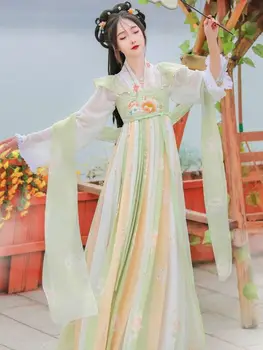 Женствена рокля Hanfu, китайски Традиционен женски костюм на Династията Тан, Ежедневни Фея, Елегантна Жена, китайски Рокли