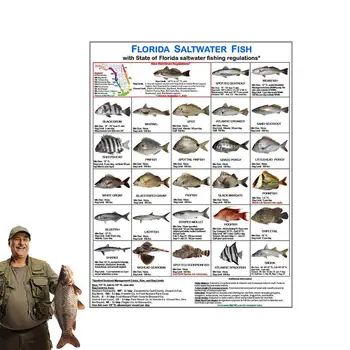 Идентификация карта Флоридской морска риба Магнитни карти със справка по видове риби Идентификация карта Флоридской морска риба за